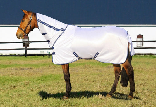 Horse wearing a TuffRider mesh combo-neck fly sheet in summer turnout