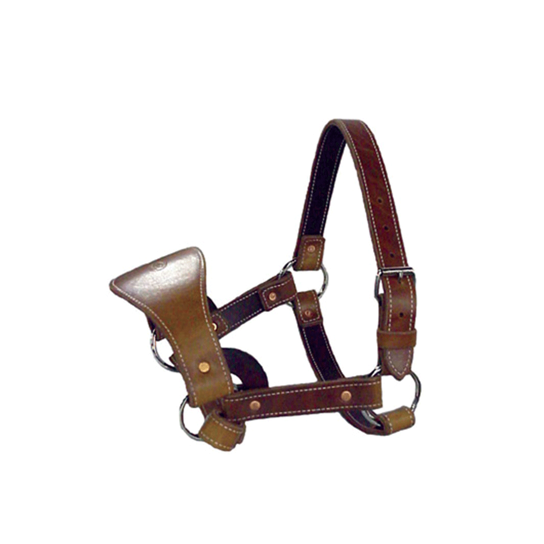 Saddle Barn Leather Bronc Halter
