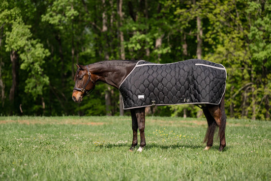 TuffRider Shelter closed-front heavyweight stable blanket — Ranchline Ranch Supply