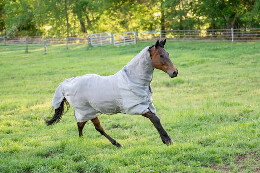 TuffRider NevaTear self-healing combo-neck fly sheet — Ranchline Ranch Supply