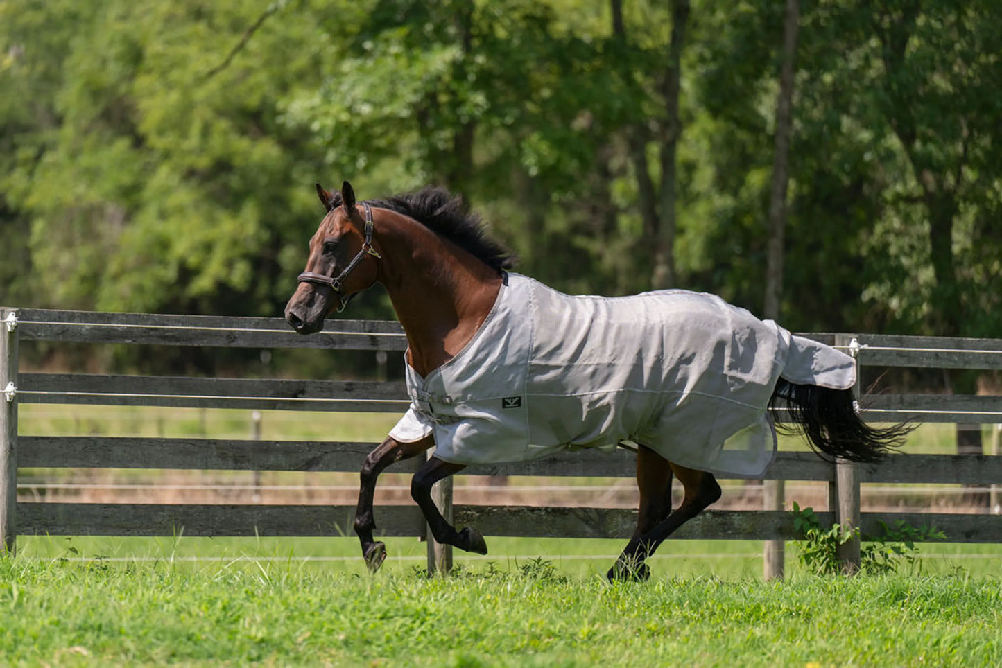 TuffRider NevaTear Technical Fly Sheet, Standard Neck