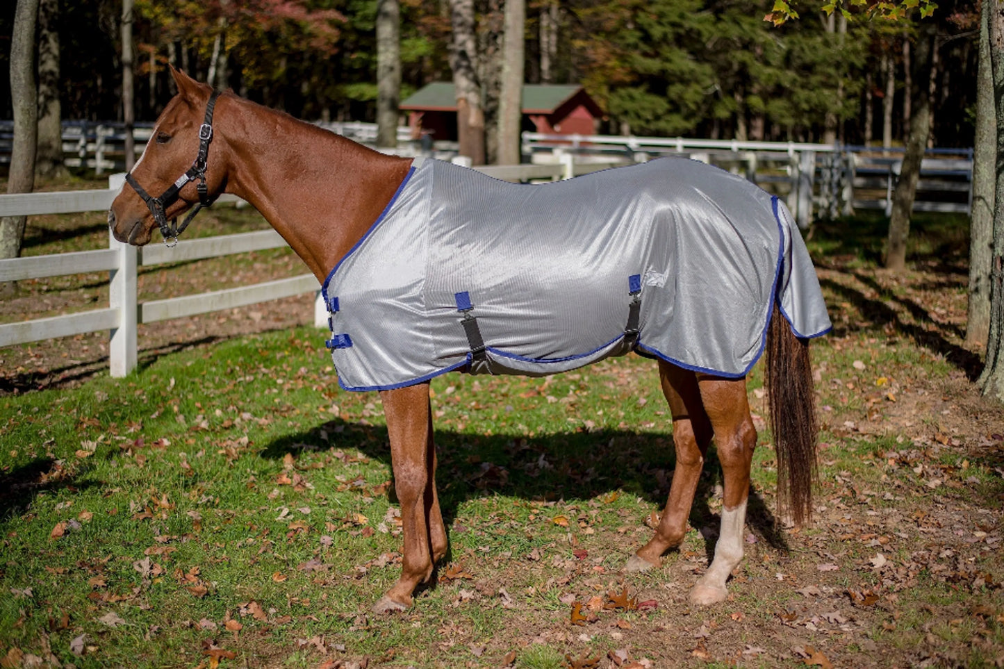 TuffRider Comfy Plus standard-neck fly sheet — Ranchline Ranch Supply