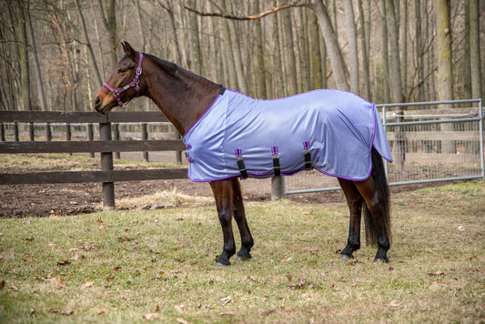 TuffRider Comfy Plus standard-neck fly sheet, purple — Ranchline Ranch Supply