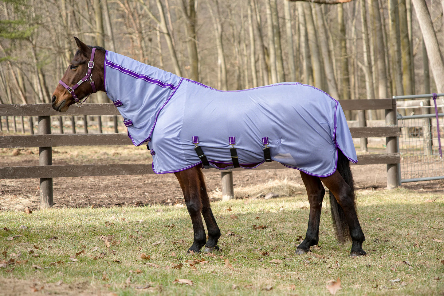 TuffRider Comfy Plus combo-neck fly sheet, purple — Ranchline Ranch Supply
