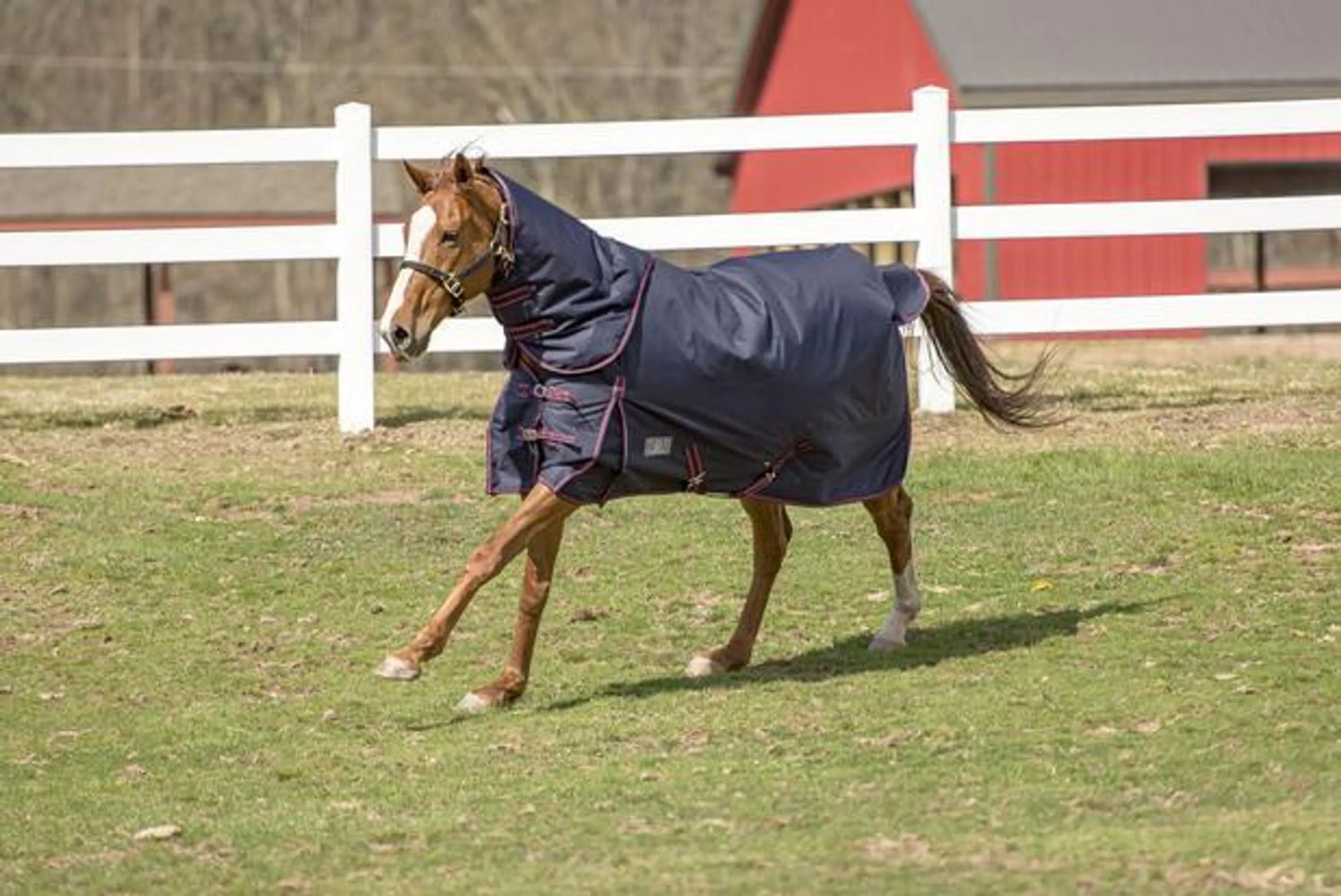 TuffRider Comfy 1200D Detachable Neck Turnout Blanket, 200g