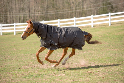 TuffRider Comfy 600D Combo Neck Turnout Blanket, 200g