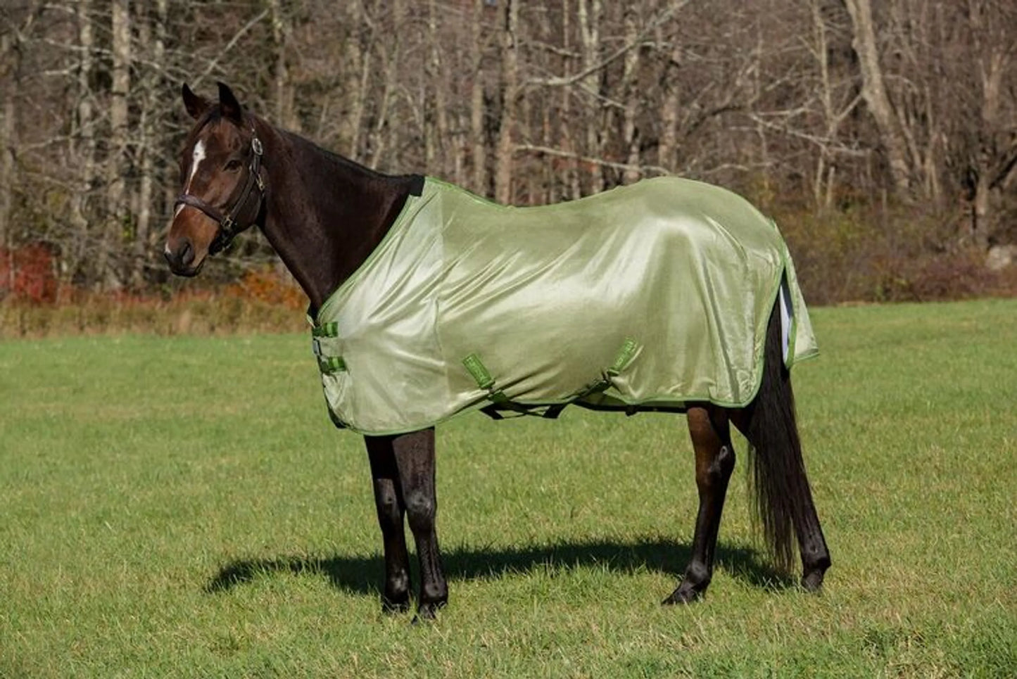 TuffRider Sport Mesh Fly Sheet