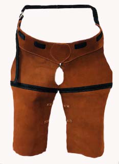 Hay Chap Short