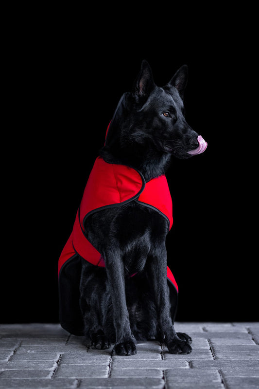 Sport Innovations MagMini PEMF dog coat