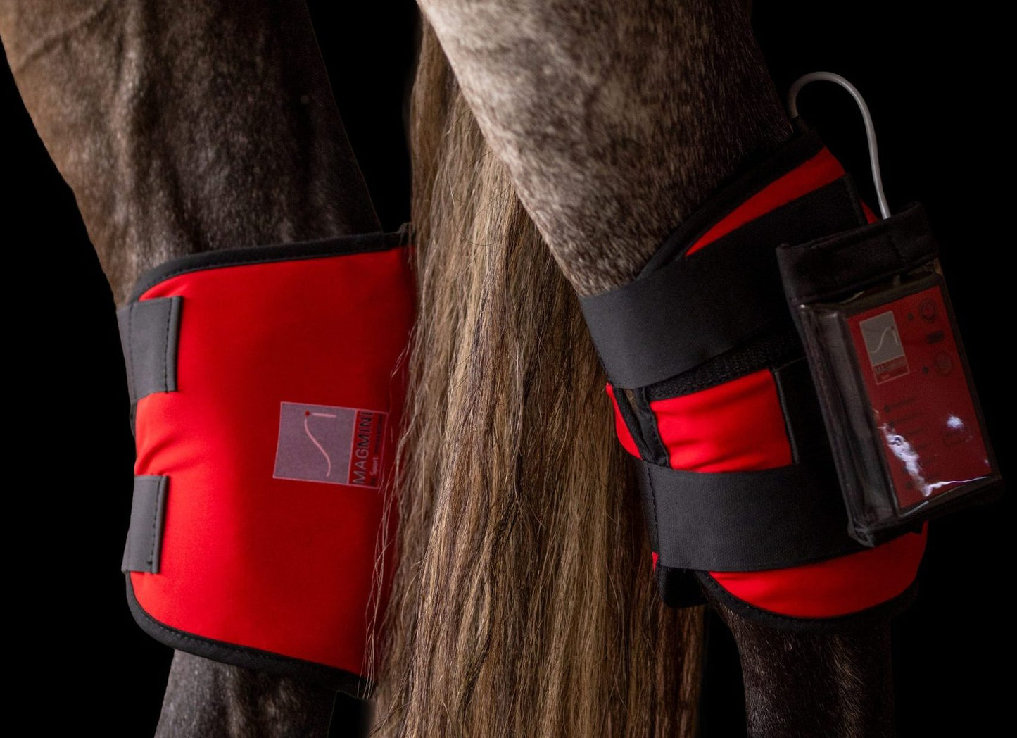 Sport Innovations MagMini PEMF equine hock wraps
