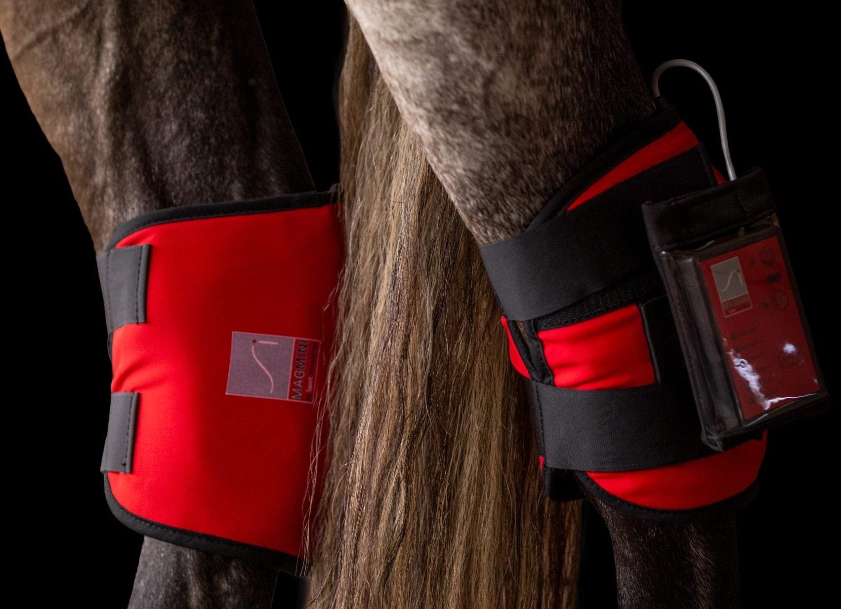 Sport Innovations MagMini PEMF equine hock wraps